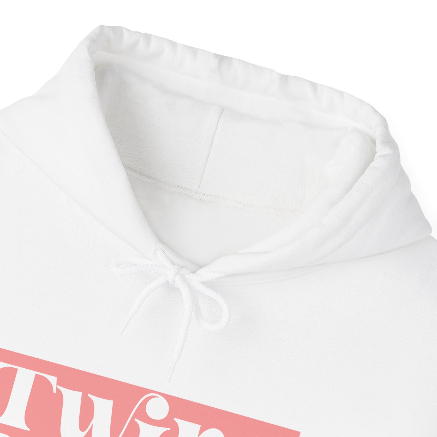 Twins On The Way Hooded Sweatshirt